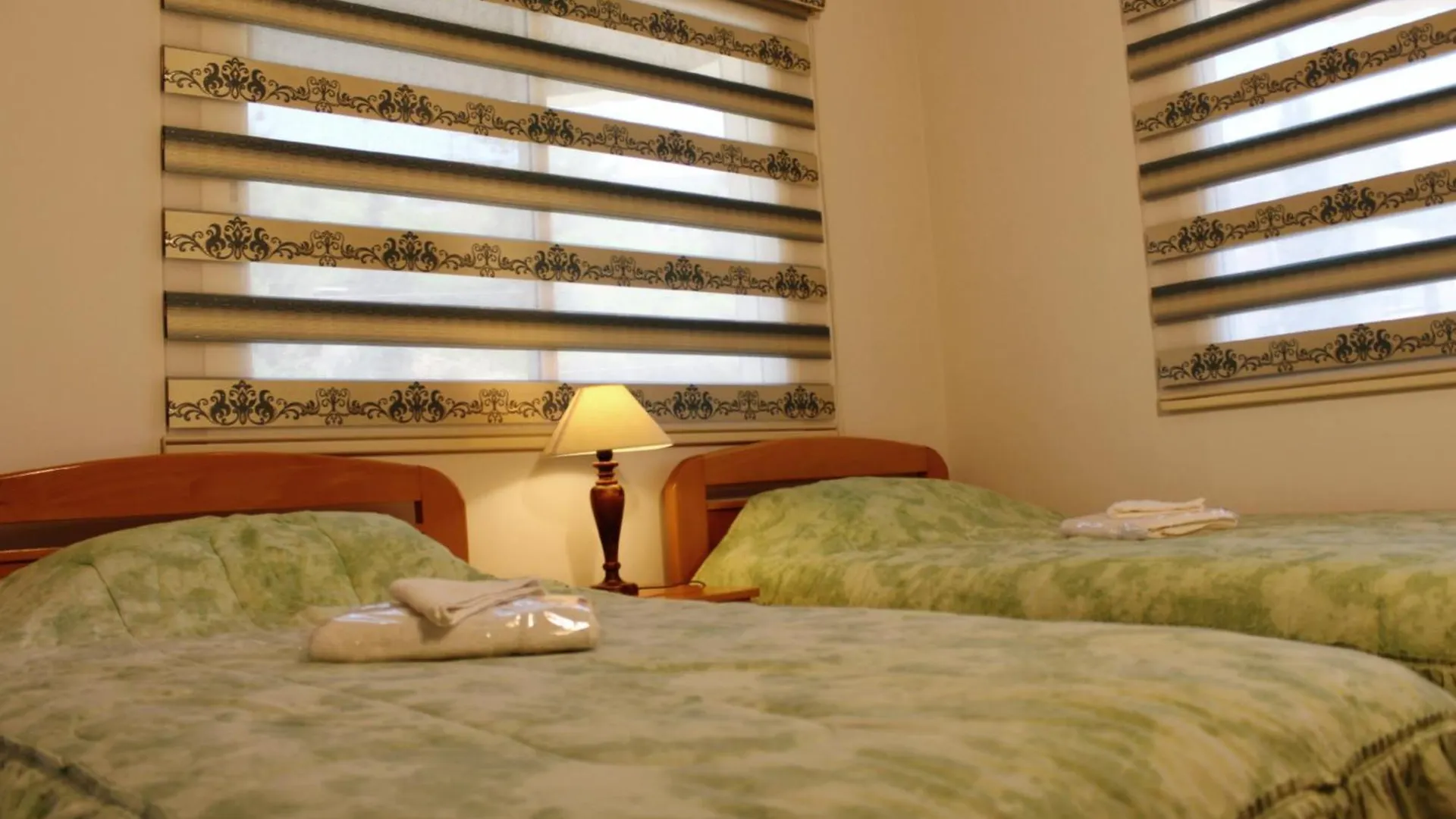 Alpine Hotel Aley